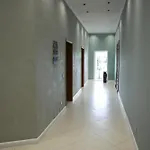 Hotel Hotel Haliti